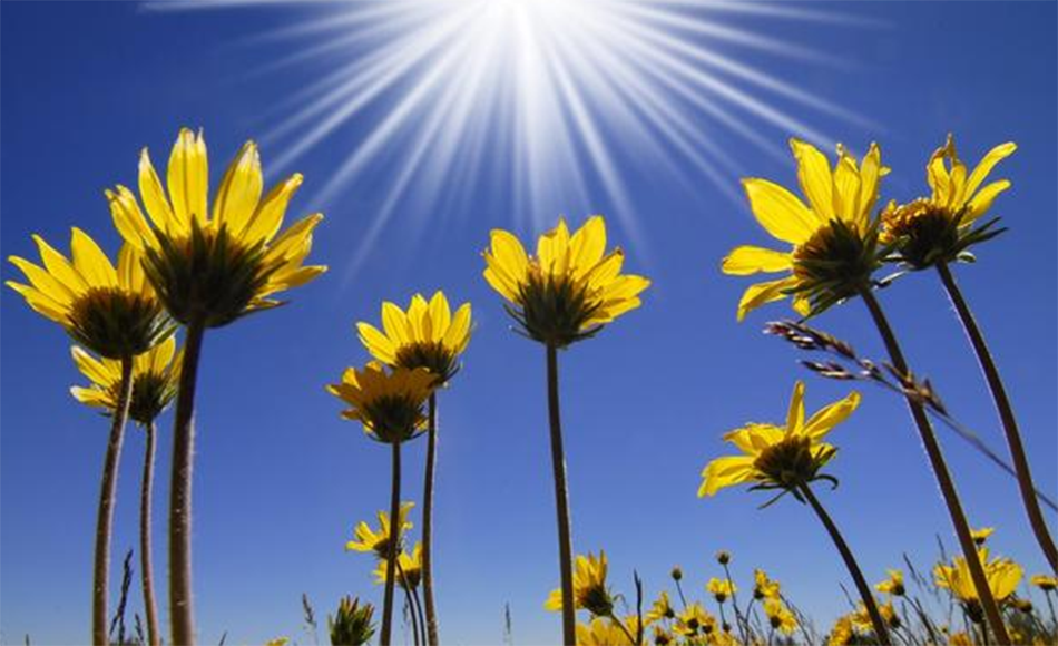 钟南桥,坚持只为热爱(images 3)